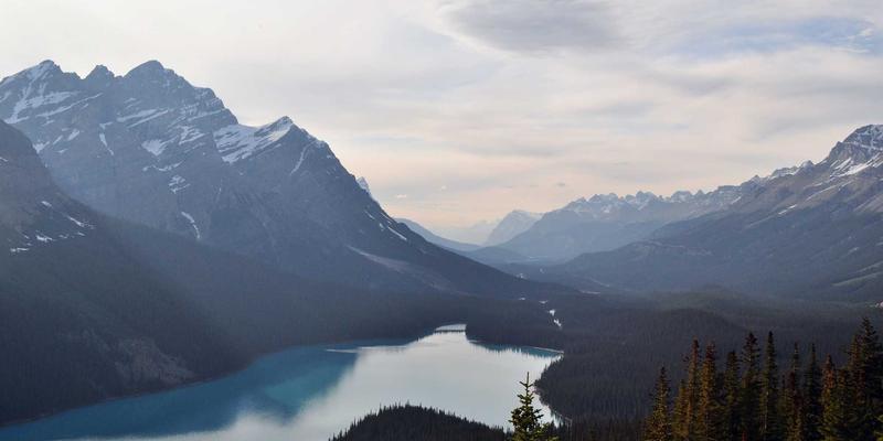 IT外包37：企业数字化转型的高效IT解决方案与技术支持指南