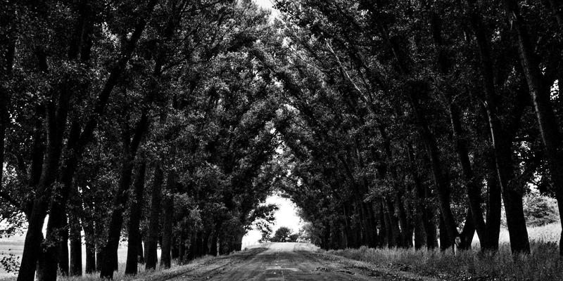 IT外包与系统维护中的安全开发生命周期管理：将数据安全深度嵌入项目全流程