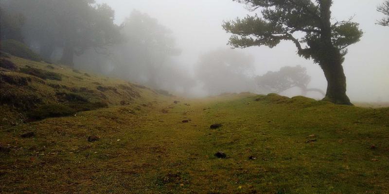 IT外包中的数据治理与隐私保护：GDPR合规实践与五元IT系统维护策略