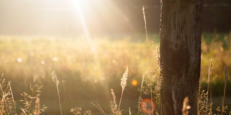 IT外包怎么用？解锁高效IT解决方案与数据安全双赢策略