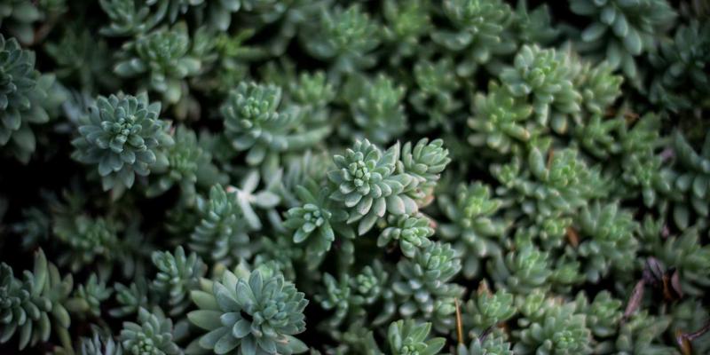 IT外包成本效益深度解析：如何通过精细化预算与资源分配实现降本增效