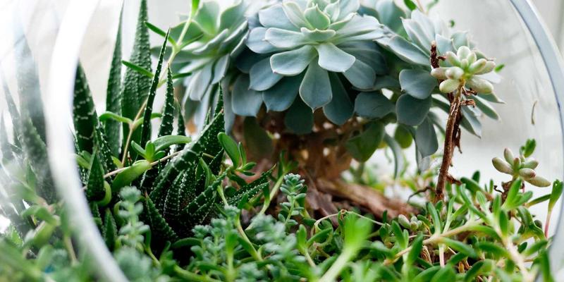 IT外包新趋势：公有云、私有云与混合云管理服务深度对比