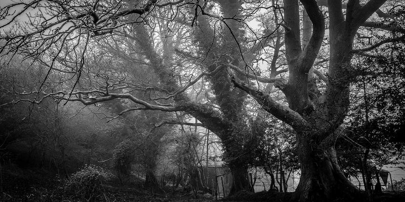 中小企业如何通过IT外包实现技术升级？五元IT与专业系统维护的关键价值