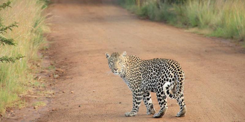制造业IT外包实践：五元IT如何为工业物联网与生产系统筑牢安全运维防线